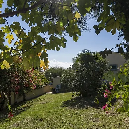 La Gitanila Estepona